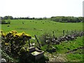 Ballyvennox Townland