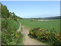 Fields on south side of old Deeside Railway