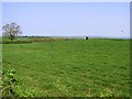 Ballystrone Townland