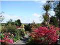 Millennium Garden, Auchencairn