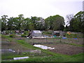 The Mossilee Allotments