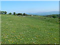 High paddock with a view