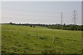 Fields on Velmore Farm