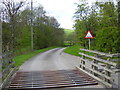 Cattle grid across the road