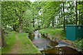 Dockens Water downstream of  the bridge on Ellingham Drove