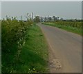 Country road towards Wymondham