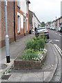 Flowerbeds in Telephone Road