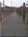 Outdoor cattle pens at Malton Market