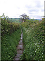 NZ8608 : Bridleway between Aislaby and Briggswath by Stephen McCulloch