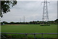 Turf growing off Howe lane