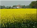 Buckminster Primary School across the fields