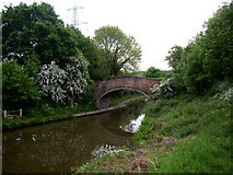 SJ5582 : Bridgewater Canal at Norton, Runcorn by Tom Pennington