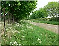 Hall Road north of Buckminster