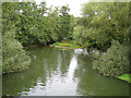 River Mole in Pixham