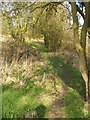 Path through Granllyn Pool Reserve.