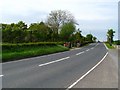 J5964 : Portaferry Road near Nuns Quarter by Rossographer