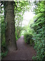 Footpath at the South end of Coate Water