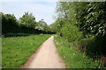 Nottingham Canal Nature Reserve