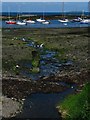 Shoreline and stream, Groomsport