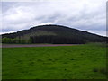 The Mount near Skirling in Peeblesshire