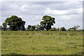 SE8027 : Arable land south of Newland by Nigel Parkin