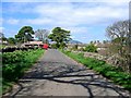 High Lane, Burtersett