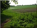 Hillside below the A30 near Stockbridge