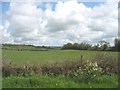 Undulating landscape north-west of Malltraeth