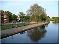 The Embankment and the River Great Ouse