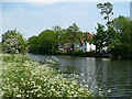 River Great Ouse, Priory Country Park