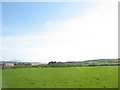 Grazing land between Malltraeth and Hermon