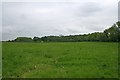 Meadow  north of Holloway Farm