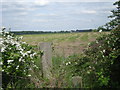 Across the fields to Rodenhurst Hall