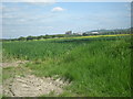 Across the fields to the Sugar Beet Factory