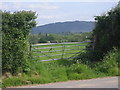 A gate & The Wrekin