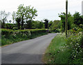 Mill Road West near Purdysburn