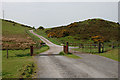 Cattle grid near Bwlch Blaen-corn