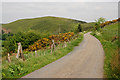 Road near Rhyd-y-fran