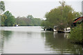 River Yare, Hall Farm