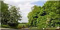 Gate into Jaguar Lount wood