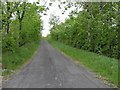 Road at Derrynacross