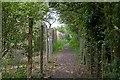 Footpath on West Down, Chilbolton