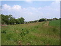 Arable fields meet natural meadowland