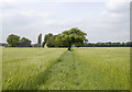 Rainford Brook Farm