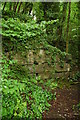 Remains of a wall, Lancaut Wood