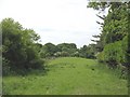 Wooded countryside south of Minffordd