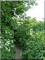 Countryside Footpath