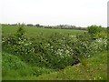 Glenhead Townland