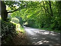 Ryedown Lane