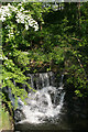 Weir, North Beck